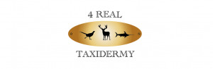 Welcome Taxidermy Services About Us Prices & Quotes Field Care ...
