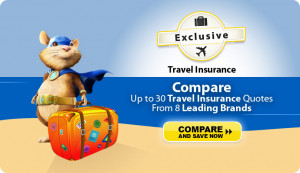 This is by far the best website for car insurance renewal.