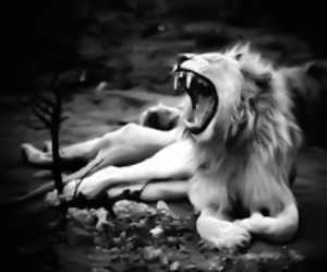 black and white lion roar