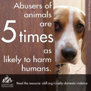 Animal Cruelty and Domestic Violence