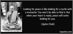 your heart is ready, peace will come looking for you. - Ajahn Chah