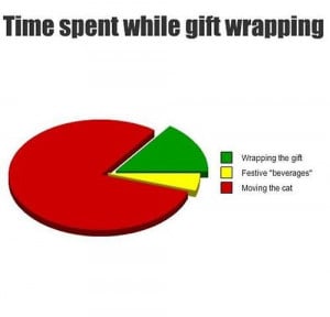 funny-picture-gift-wrapping-cat