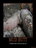 Mud Bogging Quotes and Sayings