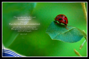 Wallpapers with Scripture quotes/4Week_jan.jpg