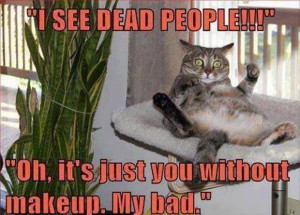Funny-cat-I-see-dead-people1-resizecrop--.jpg