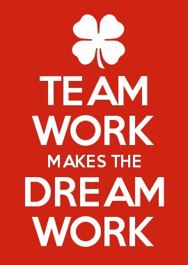 TEAM WORK MAKES THE DREAM WORK as long as everyone's on the same team!