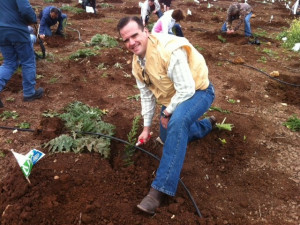 Pastor Matthew Hagee planting a tree in Israel