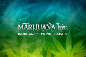 100010705-CNBCTV-PT-Marijuana-Inc.600x400.jpg