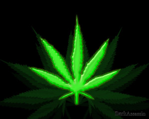 weed leaf Image