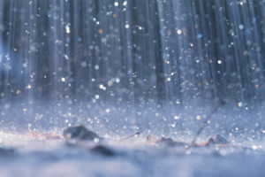 ... sound of the falling drops...always pacifies my crying heart...rain