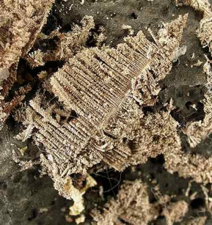 Funny Quotes Contact Us DMCA Notice