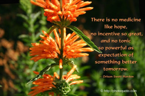 no medicine like hope, no incentive so great, and no tonic so powerful ...