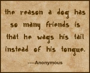 Funny quotes about dogs