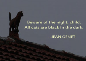 ... Of The Night, Child. All Cats Are Black In The Dark. - Jean Genet