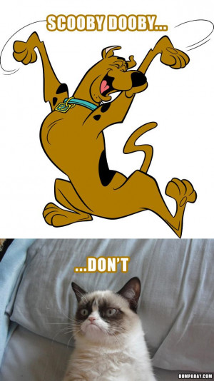 Scooby Doo Meme