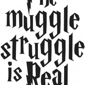 Harry Potter The Muggle Struggle is Real Funny Decal Sticker