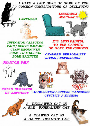 Quotes on Declawing and Litter Box Aversion
