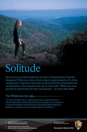 Solitude Quotes Solitude poster - .jpg