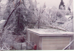 1991 Ice Storm Rochester NY