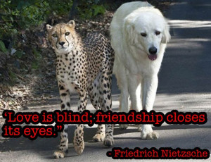 Found on buzzfeed.com