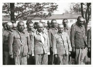 Auschwitz prisoners in Striped uniforms