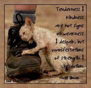 Tenderness & Kindness Are Not Signs Of Weakness & Despair, But ...