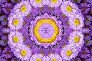 Expanding Our Awareness to See a Multi-Dimensional Reality