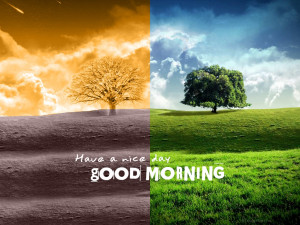 Morning Best Good With Quotes Wallpaper with 1024x768 Resolution