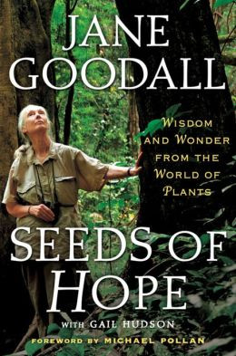 Jane Goodall Endangers Reputation with Alleged Plagiarism