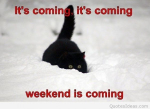 It’s coming, weekend is coming funny picture