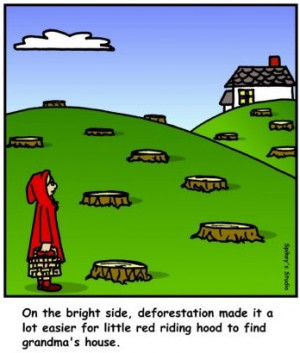 Little Red and Deforestation