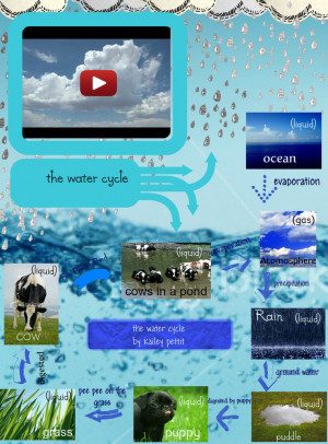 the-water-cycle-kailey-pettit-source.jpg
