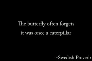 butterfly quote on Tumblr