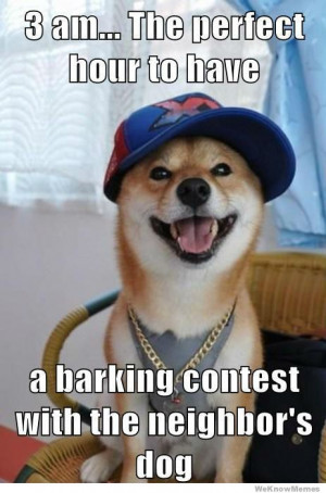 ... hour to have a barking contest with the neighbor’s dog – meme