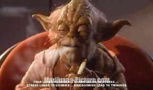 funny marijuana pictures/yoda_on_weed.jpg