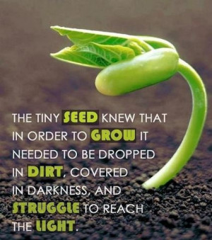 through adversity blossoms...