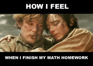 funny, homework, lol, lotr, math, meme, school, true