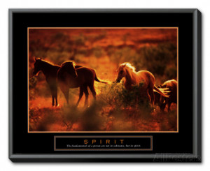 Spirit horses - quote: The fundamentals of a person.....