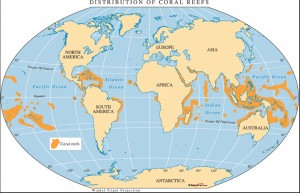 effects of ocean acidification and sea level rise on coral reefs