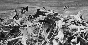 1876, general george armstrong custer, lakota, northern cheyenne ...