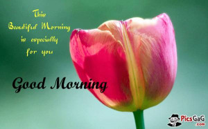 Beautiful morning quotes with morning wishes and good day quotes to