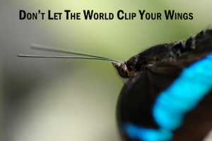 God gave you wings so that you could fly like an eagle.