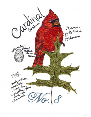 Bird205 Cardinal Bird Study Embroidery Design