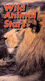 Wild Animal Stars