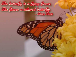 The butterfly is a flying flower, The flower a tethered butterfly ...