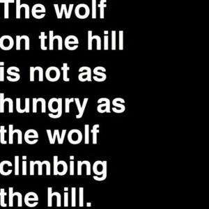 lux.quotes 719 32 01:56