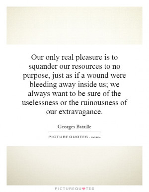 Our only real pleasure is to squander our resources to no purpose ...