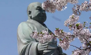 fighting for justice quotes