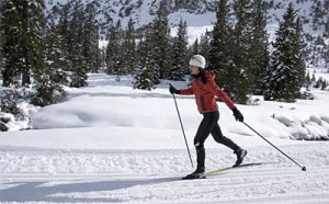 kb jpeg cross country skiing pictures cross country skiing image ...