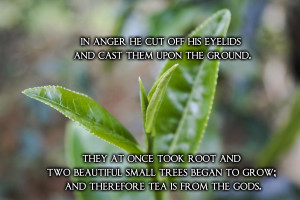 TeaQuotes – Tea is from the Gods